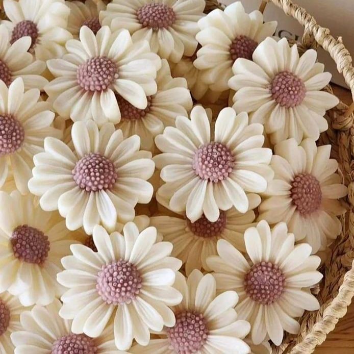 شمع گل بابونه (مارگریت)